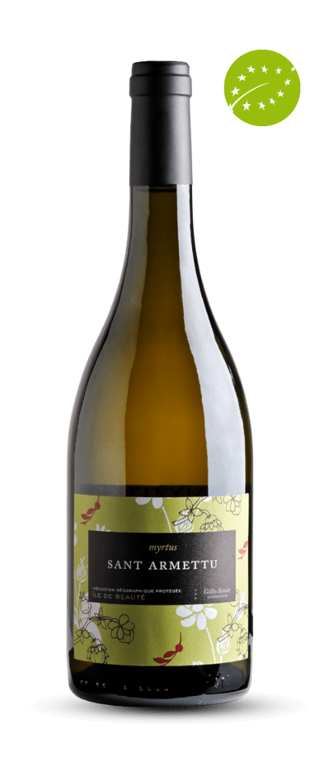 Myrtus blanc